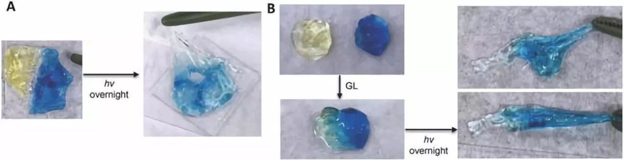 终于能摆脱碎屏的噩梦了!电镀(图2) 终于能摆脱碎屏的噩梦了!电镀(图2)